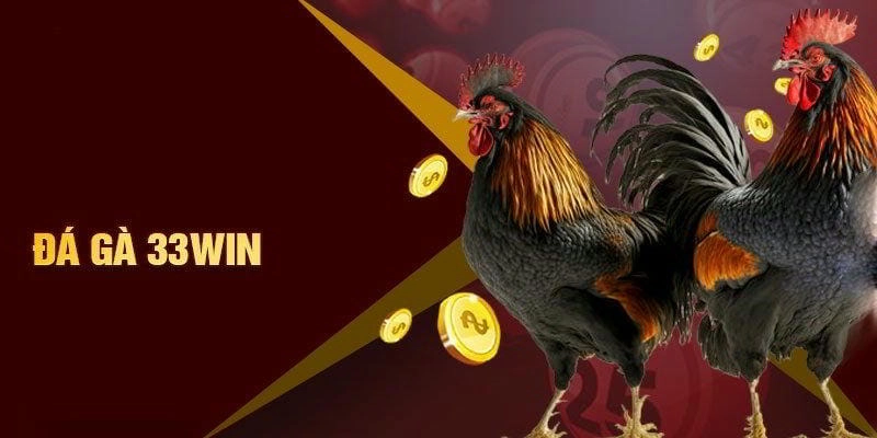 Giới thiệu tổng quan về đá gà 33WIN
